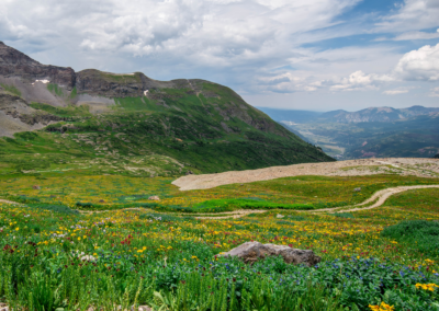 high alpine tundra on black bear pass