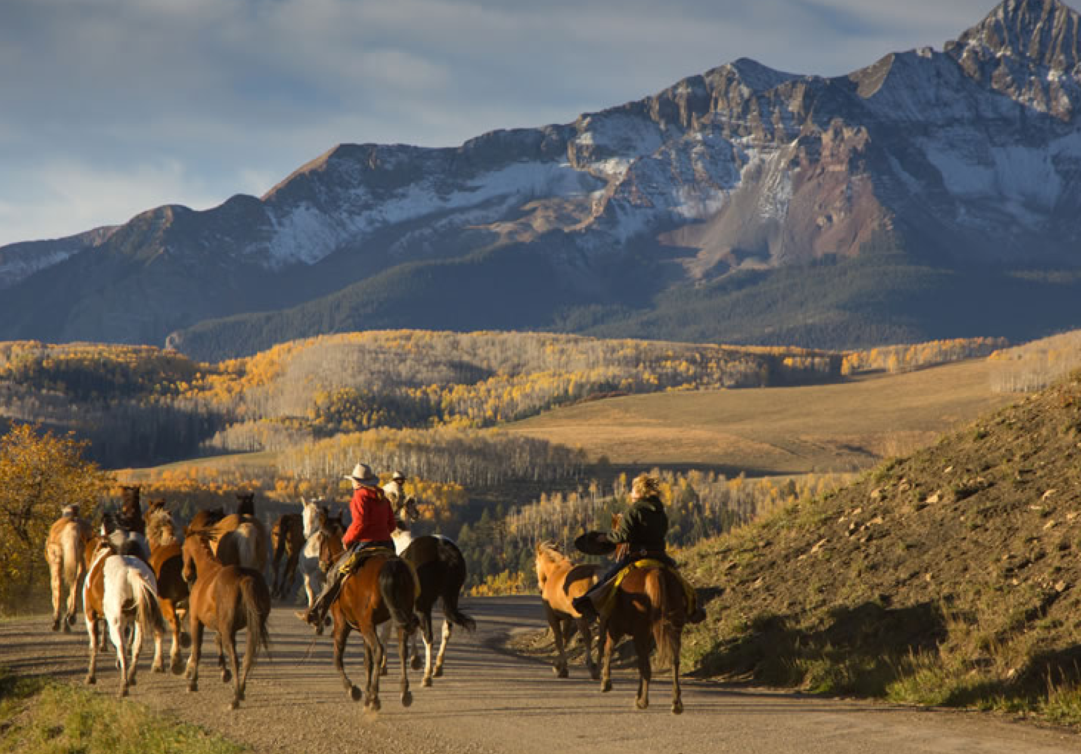 Telluride horseback riding tours